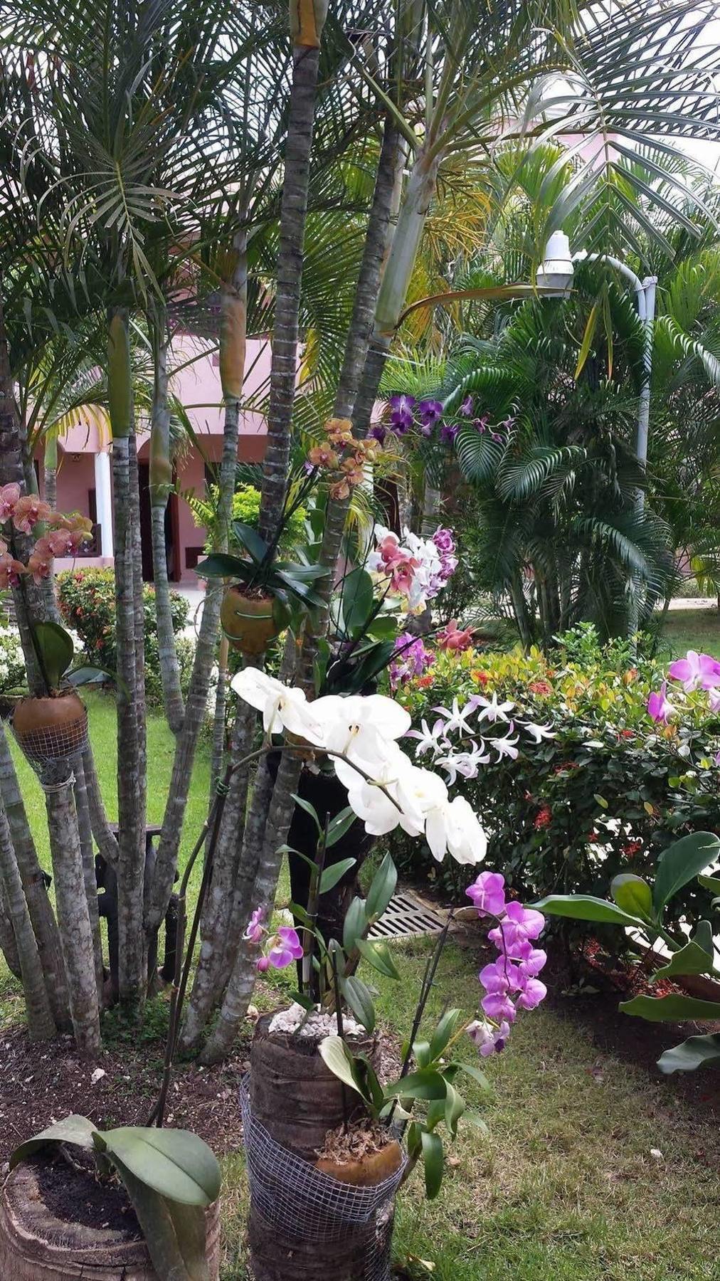 Soficu Hotel El Eden Dominicus Bayahibe Bagian luar foto